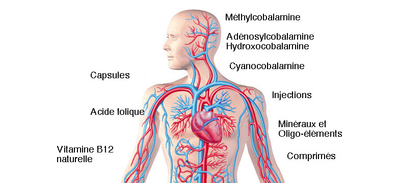 Carence-vitamine B12-trait