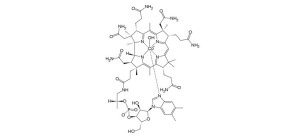 B12-Hydroxocobalamine-785x360